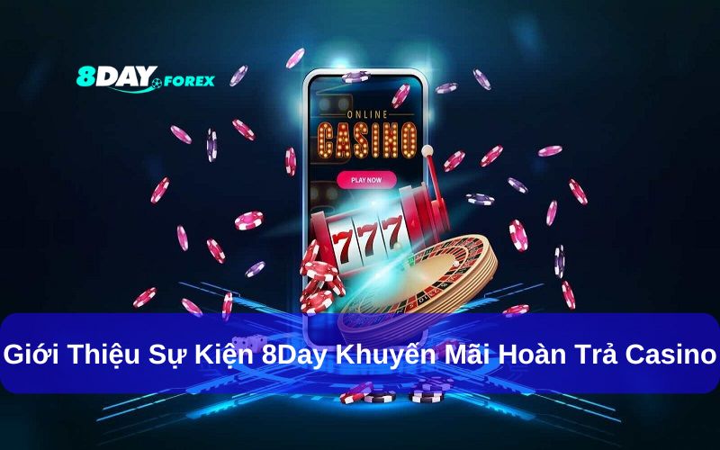 8Day khuyến mãi hoàn trả cho các trò chơi casino trực tuyến hấp dẫn