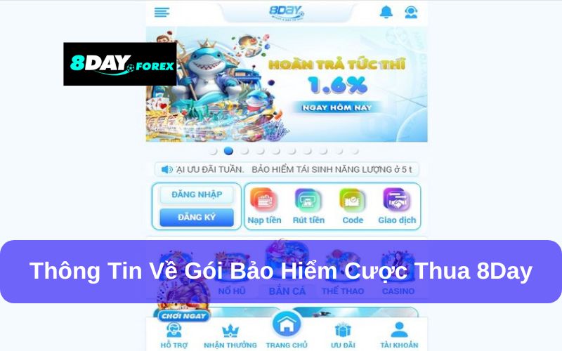 8Day tặng gói bảo hiểm cược thua – Chi tiết thể lệ chương trình