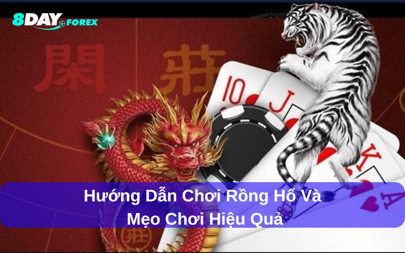 Rồng Hổ